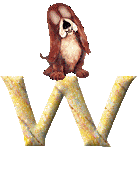 Gif W