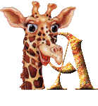 Immagine A Giraffa