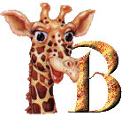 Gif B