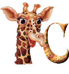 Gif C