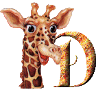 Gif D