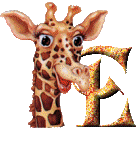 Immagine E Giraffa