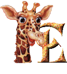 Gif E