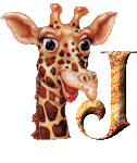 Gif J