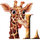 Immagine L Giraffa