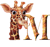 Gif M