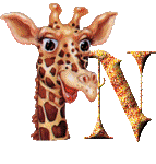Gif N