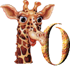 Immagine O Giraffa