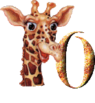 Gif O