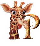 Gif P