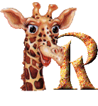 Gif R