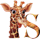 Gif S