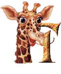 Gif T