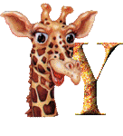 Immagine Y Giraffa