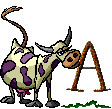 Gif A