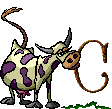 Gif C