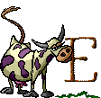 Gif E
