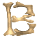 Gif B