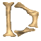 Gif D