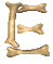 Gif E