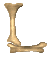 Gif L
