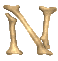 Gif N