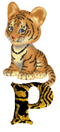 Gif P