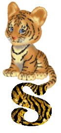 Gif S