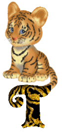 Gif T