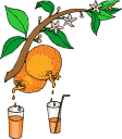 Gif 05