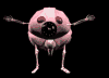 Gif 03