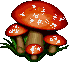 Gif 49