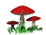 Gif 50