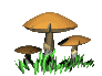 Gif 52