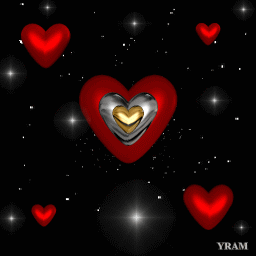 Gif 504