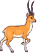 Gif 02