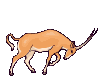 Gif 03