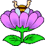 Gif 05