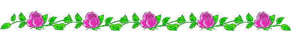 Gif 19
