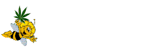 Gif 24