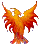 Gif 05
