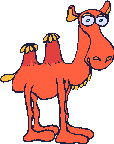 Gif 02