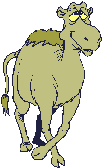 Gif 04