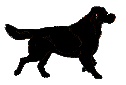 Gif 05