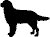 Gif 06