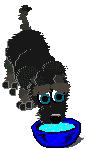 Gif 136