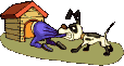 Gif 16