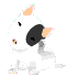 Gif 160
