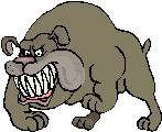 Immagine 192 Cani