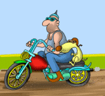 Gif 205